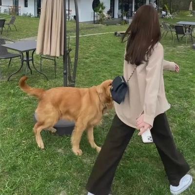 增血鬼果林
